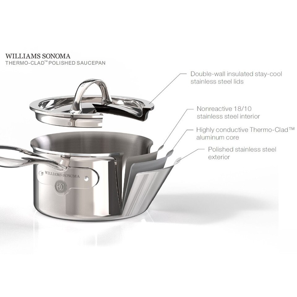 Williams Sonoma ThermoClad™ Signature Stainless Steel NonStick Frying